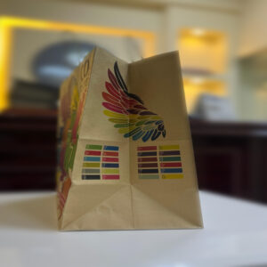 Brown and White Kraft Paper Bags with Flat and Twisted Handles